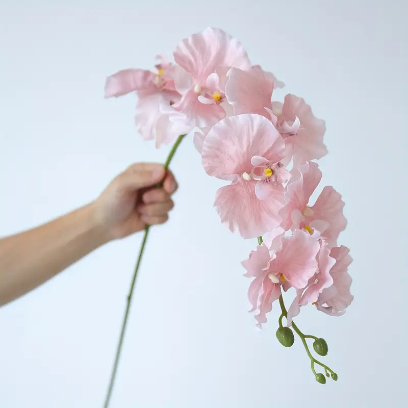 Lange tak vlinder orchideeën k - Christmas Wreath Fake recensie en prijs
